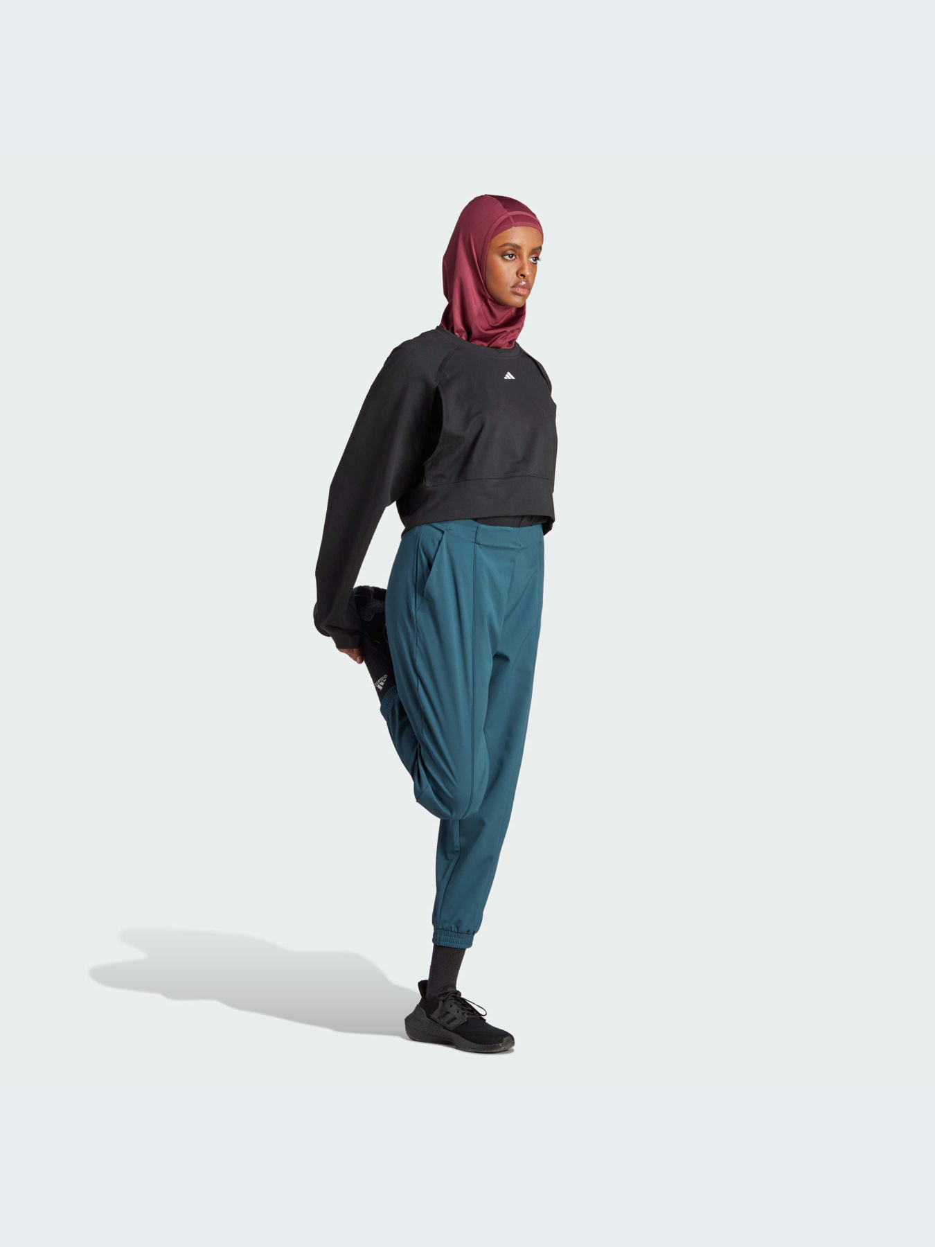 Брюки Adidas Clima модель IJ5925-KZ Фото