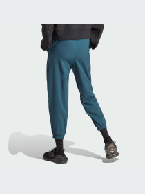 Брюки Adidas Clima модель IJ5925-KZ Фото