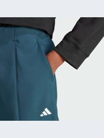 Брюки Adidas Clima модель IJ5925-KZ Фото