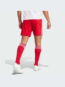 Шорты Adidas модель GN5771-KZ Фото