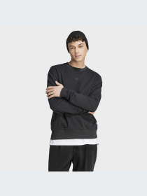 Худи и свитшоты Adidas модель IC9807-KZ Фото