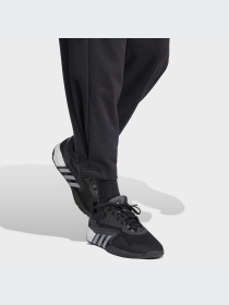 Брюки Adidas модель HY9238-KZ Фото