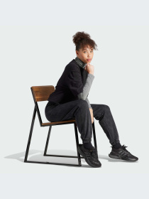 Брюки Adidas модель HZ2987-KZ Фото