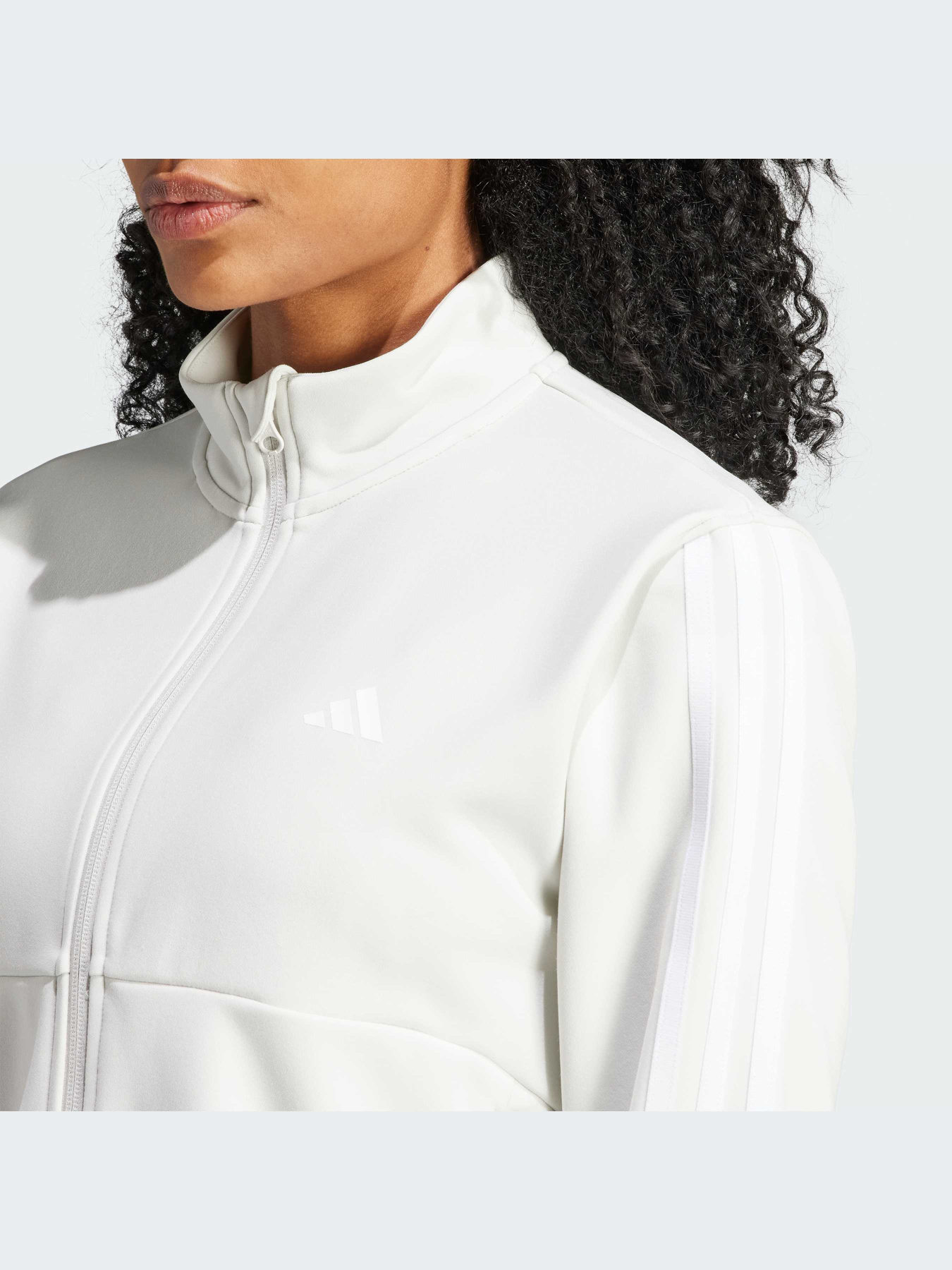 Худи и свитшоты Adidas Clima модель HZ5616-KZ Фото