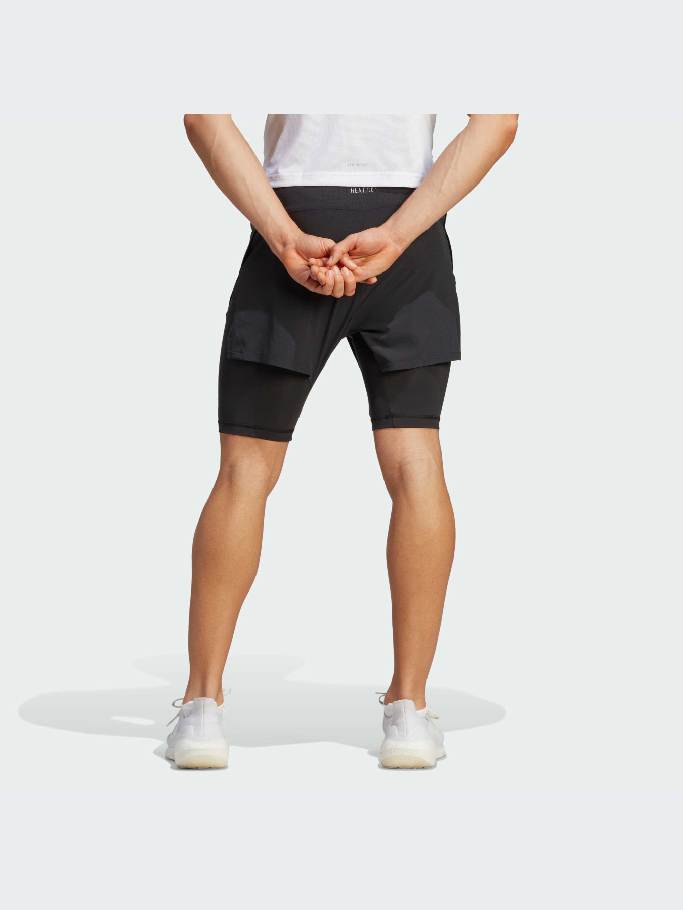 Шорты Adidas модель IB3466-KZ Фото