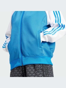 Худи и свитшоты Adidas Adicolor модель II0718-KZ Фото