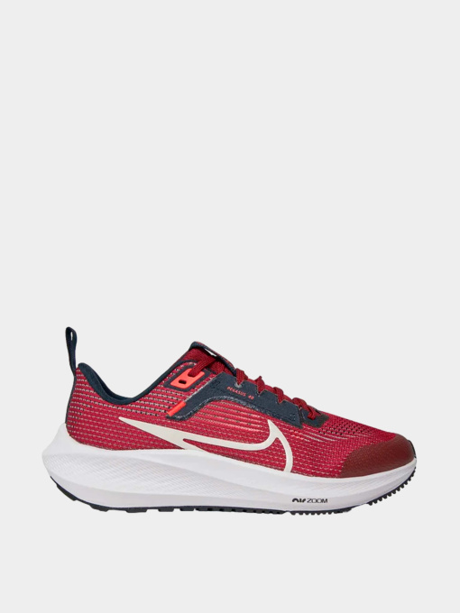 Кроссовки NIKE модель DX2498-009 Фото