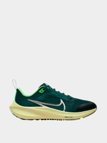 Кроссовки NIKE модель DX2498-301 Фото