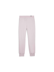 Штаны спортивные PUMA Ess Sweatpants модель 586843 Фото