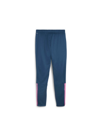 Штаны спортивные PUMA Teamliga Training Pants модель 657242 Фото