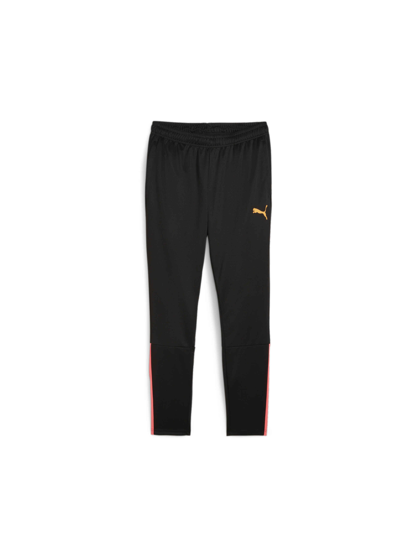 Штани спортивні PUMA Teamliga Training Pants модель 657242 Фото