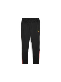 Штани спортивні PUMA Teamliga Training Pants модель 657242 Фото