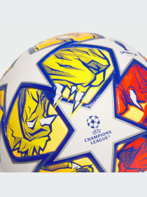 Мячи Adidas модель IN9333 Фото