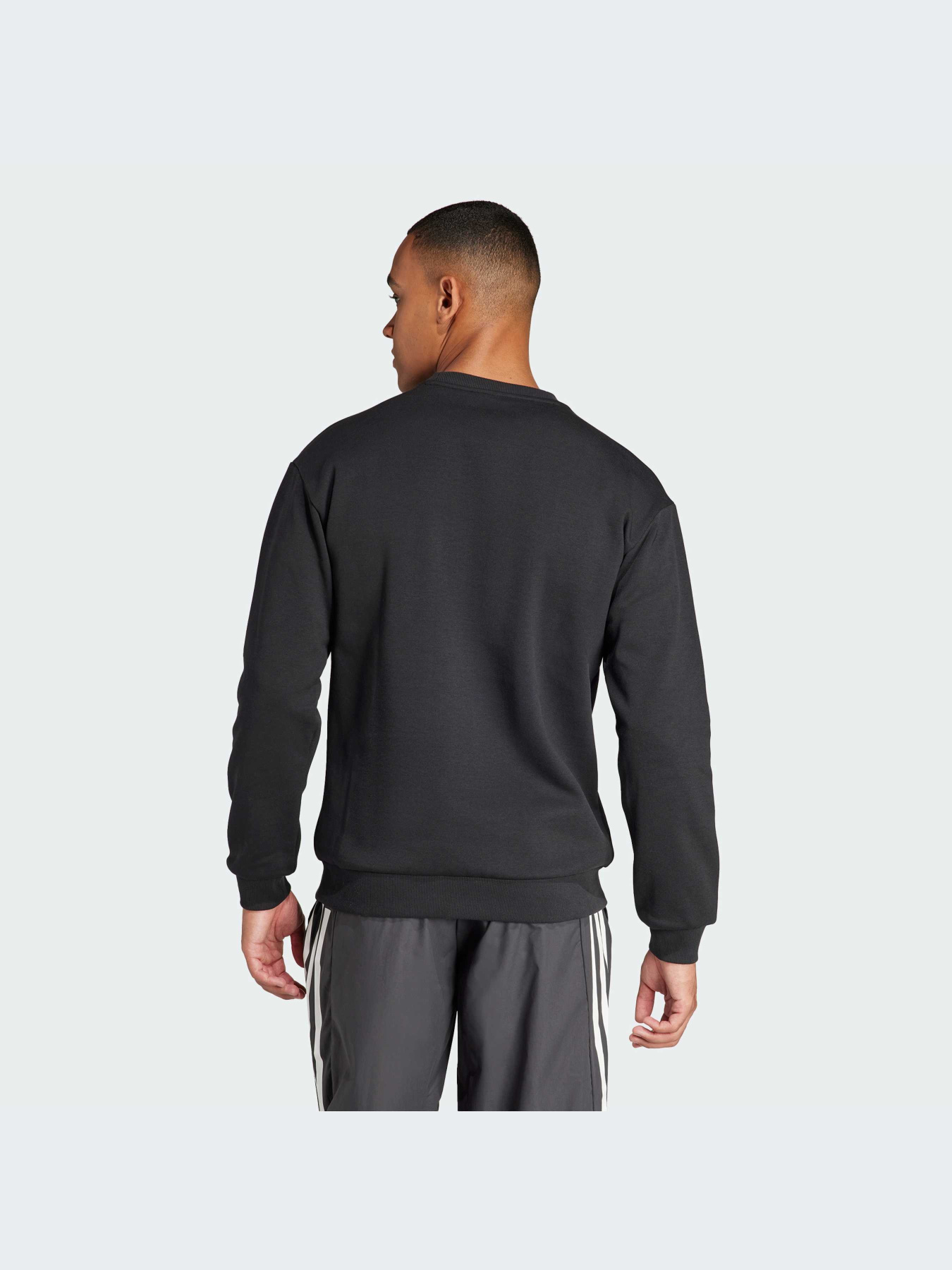 Свитшот Adidas модель IN3319 Фото