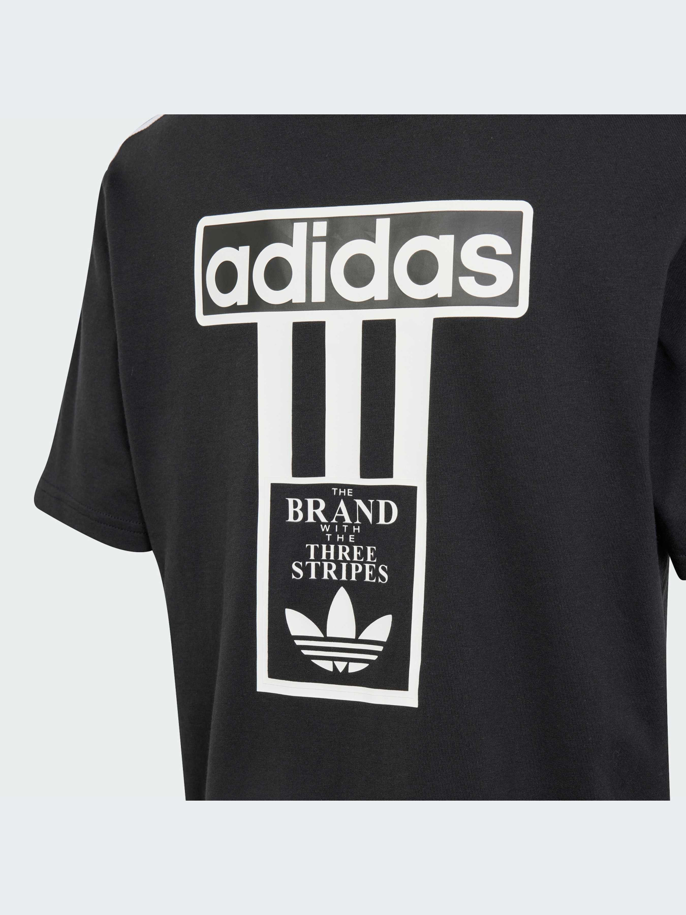 Футболка Adidas Adicolor модель IT5464 Фото