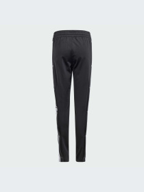 Брюки повседневные Adidas Adicolor модель IM8431 Фото