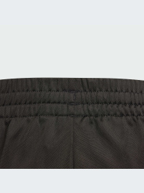 Брюки повседневные Adidas Adicolor модель IM8431 Фото