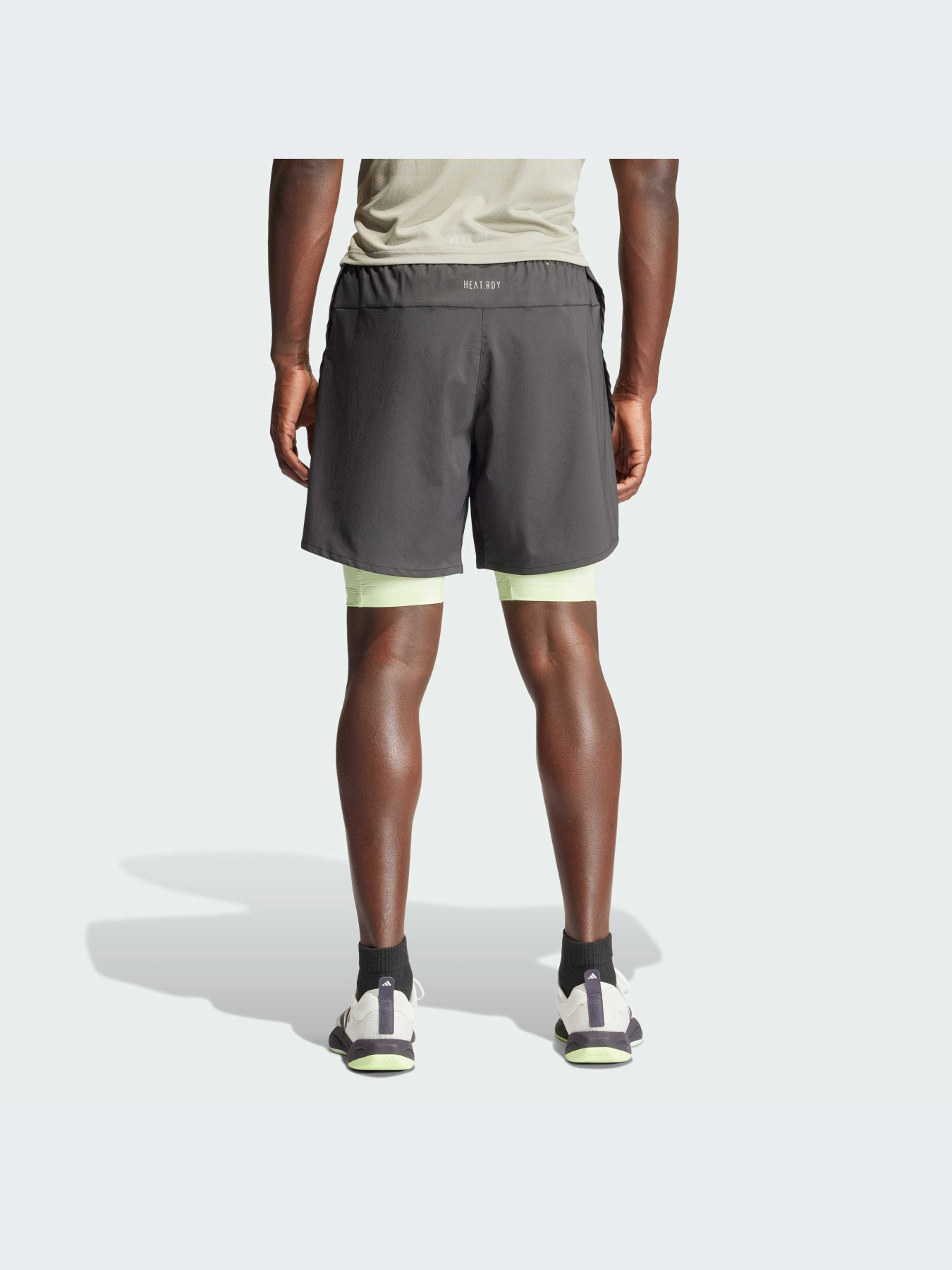 Спортивні шорти Adidas модель IS3695 Фото