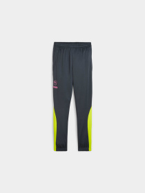 Штаны спортивные PUMA King Pro Training Pants модель 658351 Фото