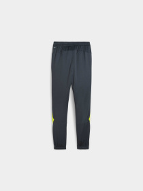 Спортивні штани PUMA King Pro Training Pants модель 658351 Фото