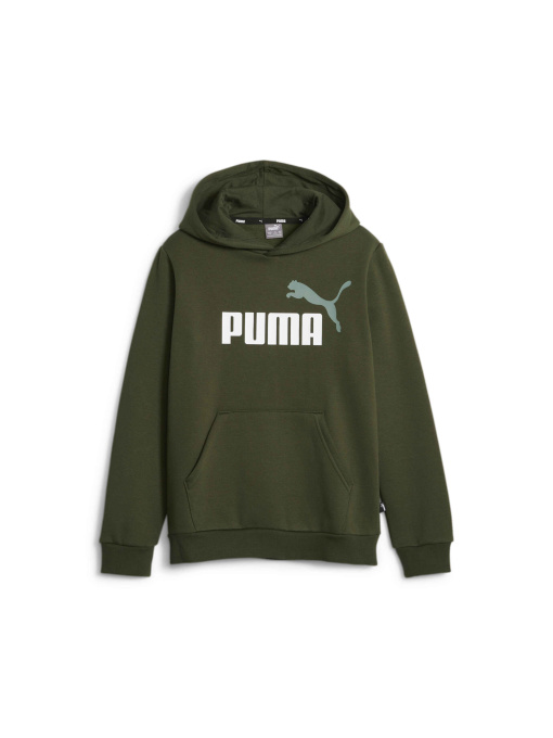 Худи PUMA Ess+ 2 Col Big Logo Hoodie модель 586987 Фото