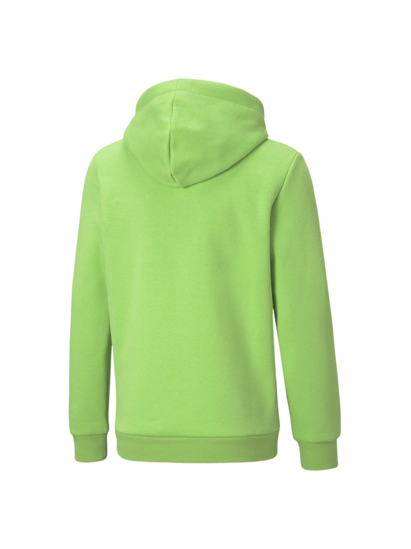 Худи PUMA Ess+ 2 Col Big Logo Hoodie модель 586987 Фото