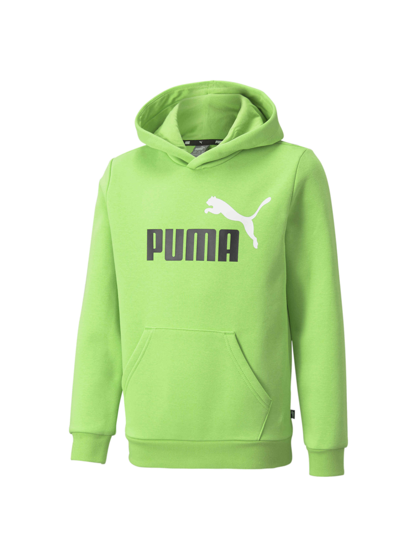 Худи PUMA Ess+ 2 Col Big Logo Hoodie модель 586987 Фото