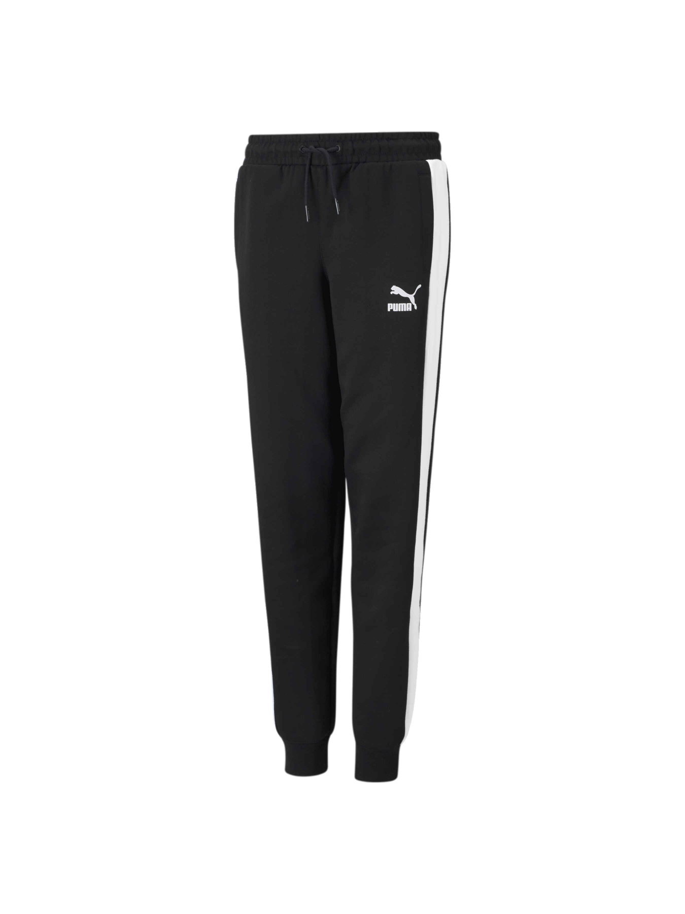 Штаны спортивные PUMA Iconic T7 Track Pants модель 530118 Фото