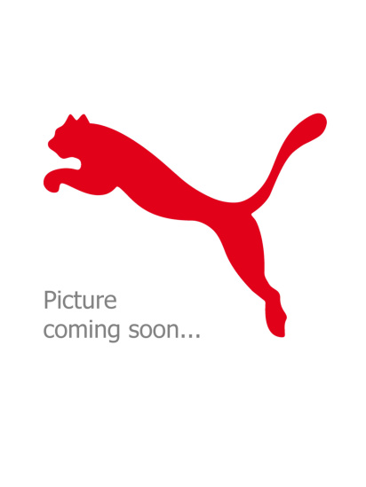 Набор носков PUMA Unisex Big Logo Sneaker модель 938390 — фото - INTERTOP