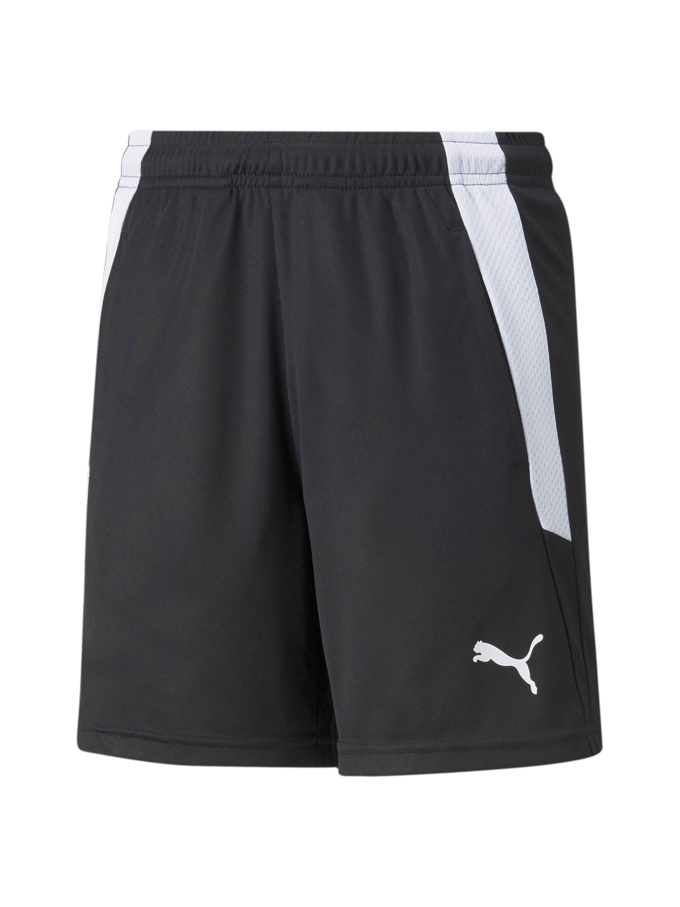 Шорты спортивные PUMA Teamliga Training Shorts2 Jr модель 657668 Фото