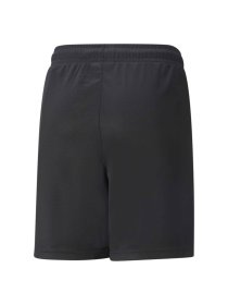 Шорты PUMA Teamliga Training Shorts2 Jr модель 657668 Фото