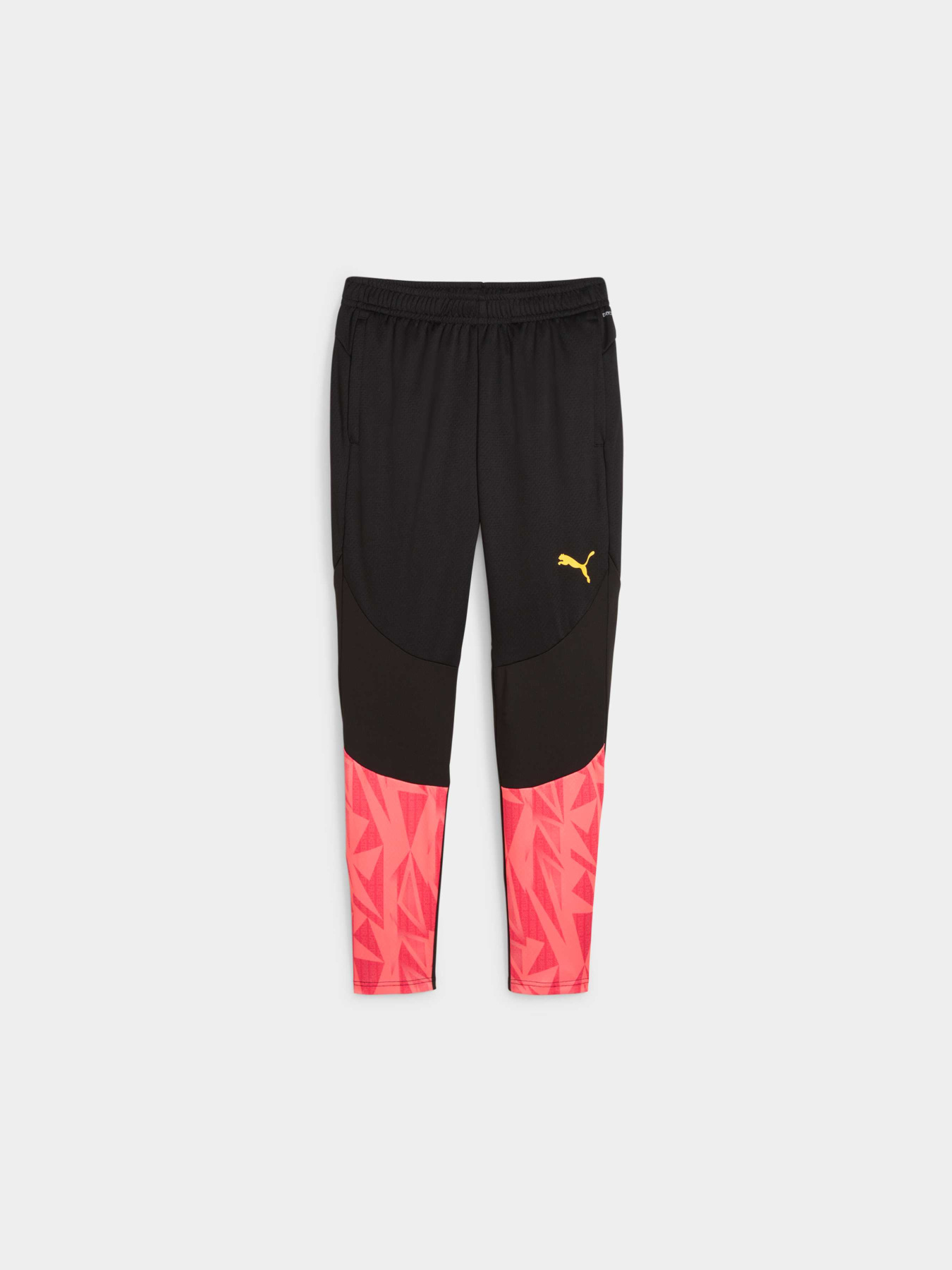 Штани спортивні PUMA Indfinal Ff. Training Pants модель 659269 Фото