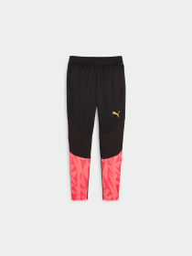 Спортивні штани PUMA Indfinal Ff. Training Pants модель 659269 Фото