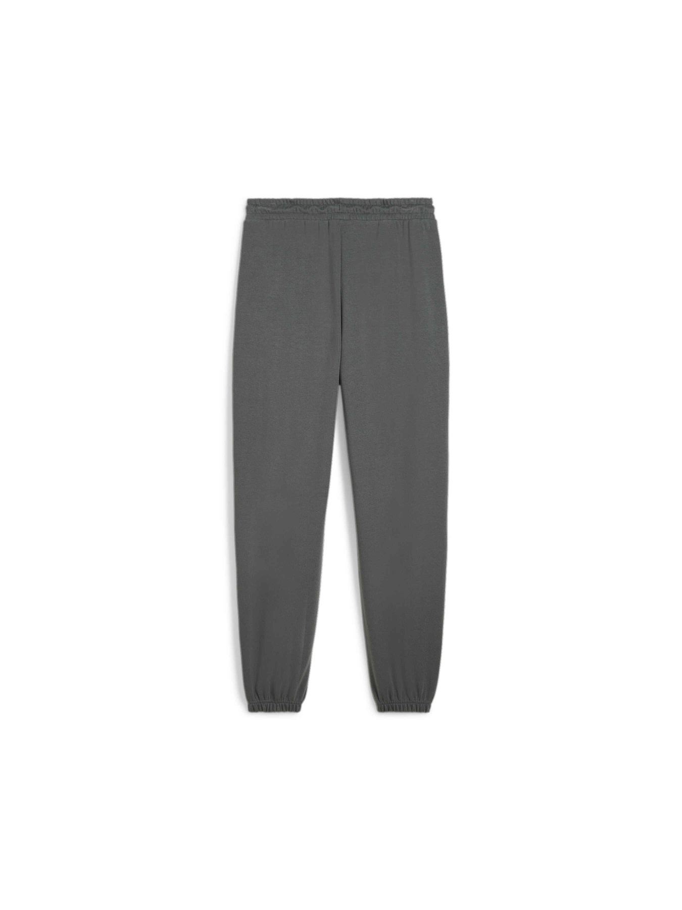 Штаны спортивные PUMA Classics+ Sweatpants модель 624276 Фото
