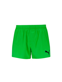 Шорты для плавания PUMA Swim Men Short Shorts 1 модель 938064 Фото
