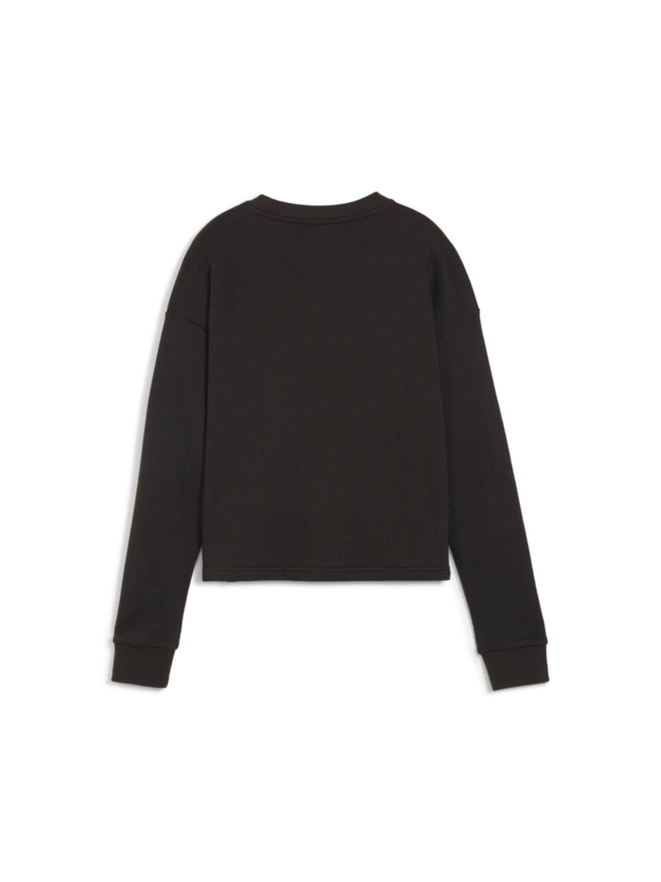 Світшот PUMA Power Crew Tr модель 679849 Фото