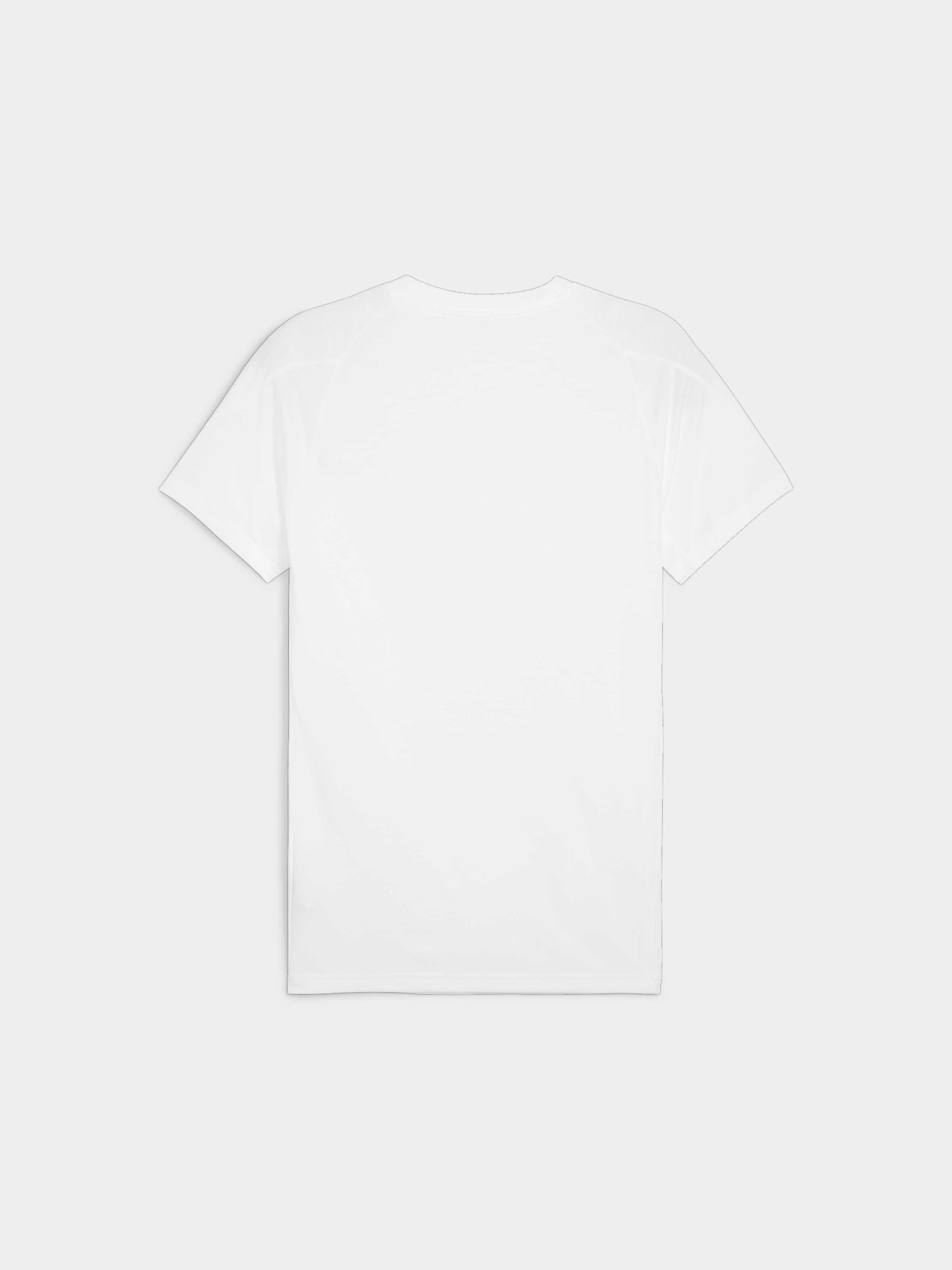 Футболка спортивная PUMA Evostripe Tee модель 678992 Фото