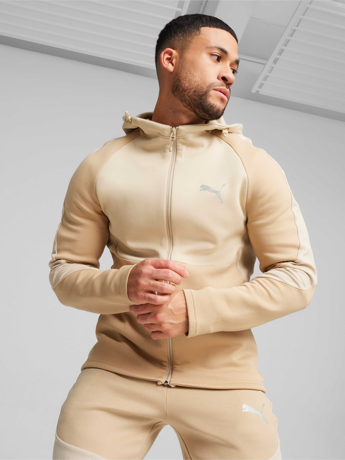 Спортивная кофта PUMA Evostripe Full-zip Hoodie модель 678995 Фото