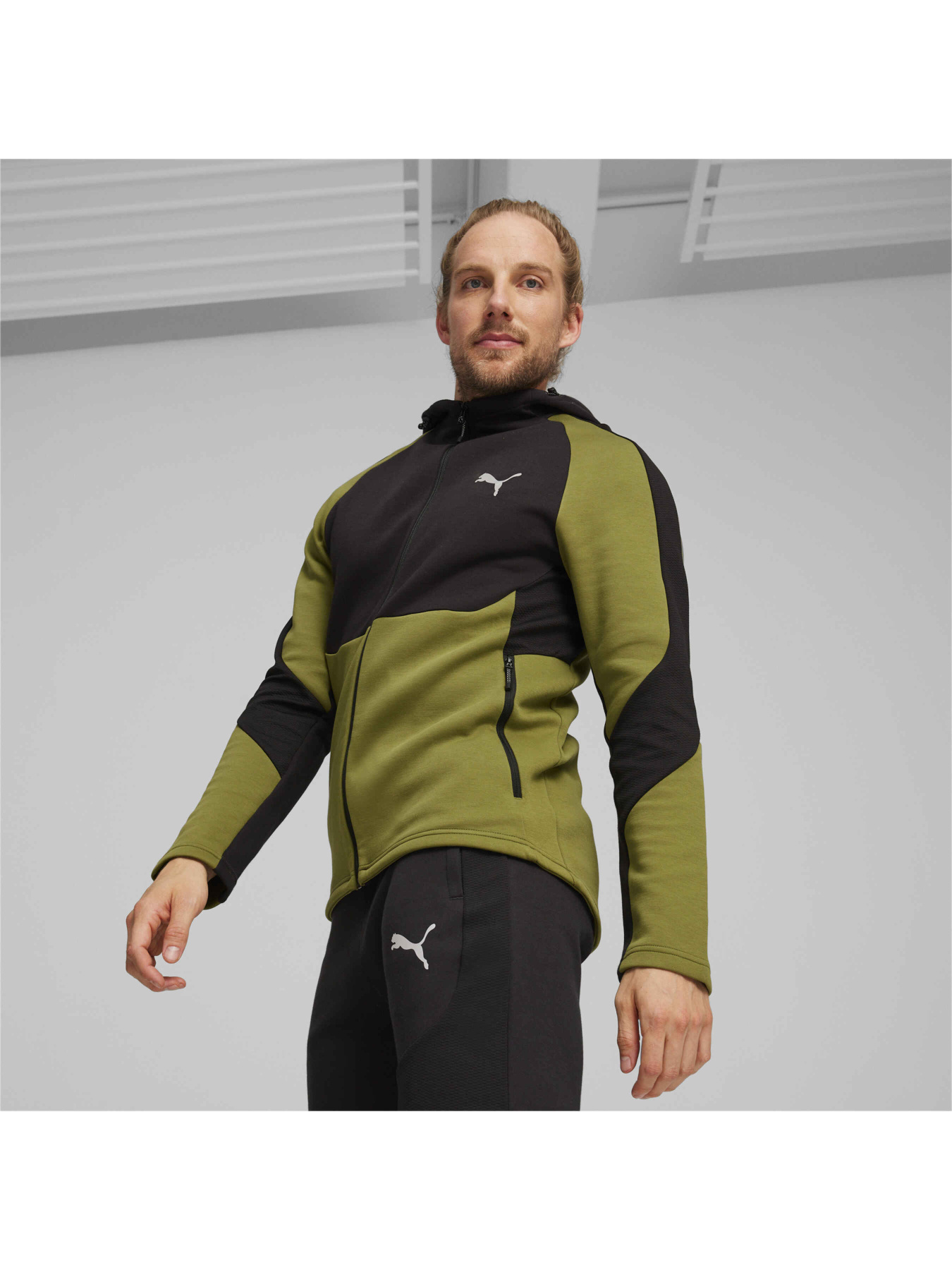 Спортивная кофта PUMA Evostripe Full-zip Hoodie модель 678995 Фото