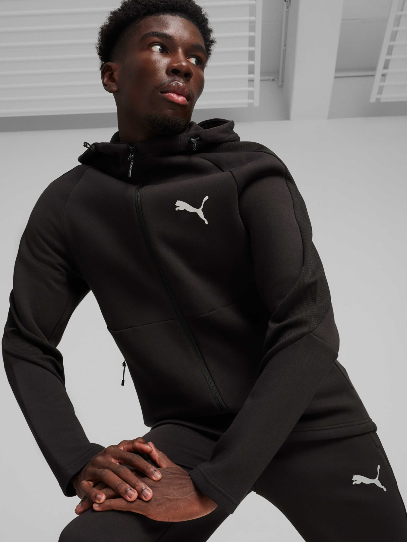 Спортивная кофта PUMA Evostripe Full-zip Hoodie модель 678995 Фото