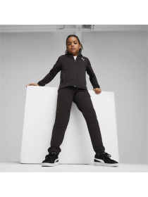 Спортивный костюм PUMA Hooded Sweat Suit модель 673586 Фото