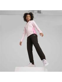 Спортивный костюм PUMA Hooded Sweat Suit модель 673586 Фото