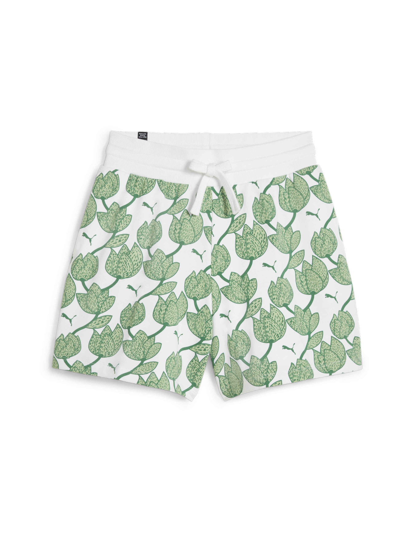 Шорты спортивные PUMA Blossom Aop Shorts Tr модель 679352 Фото