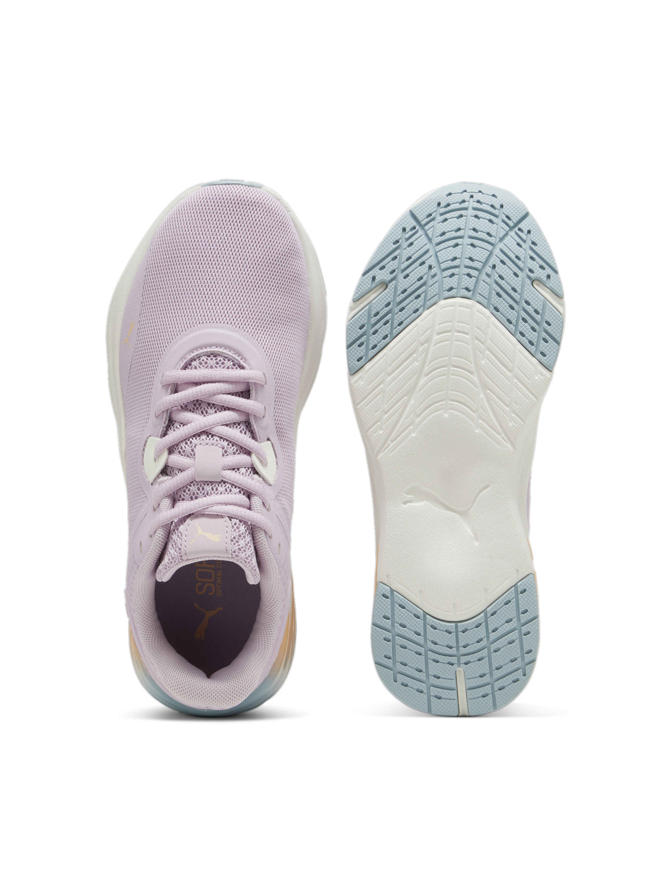 Кросівки PUMA Disperse Xt 3 Summer Daze модель 309736 Фото