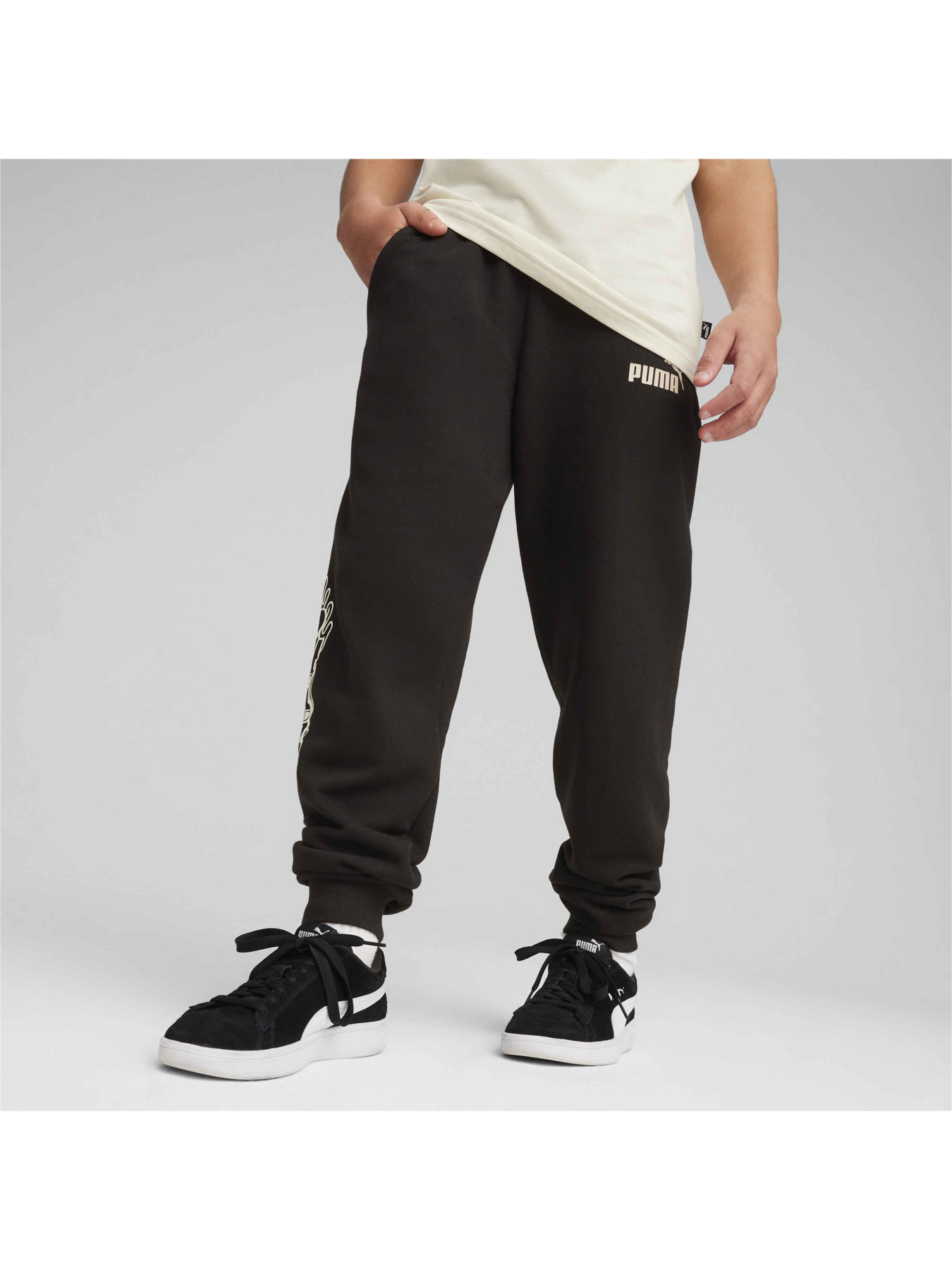 Спортивні штани PUMA Ess+ Mid 90s Pants модель 679246 Фото