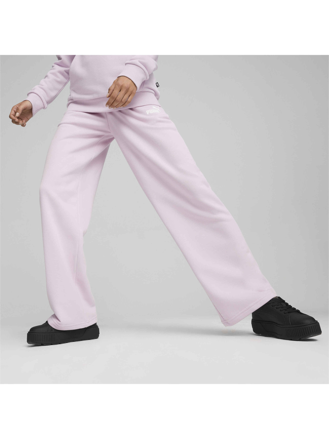 Спортивні штани PUMA Ess+ Straight Leg Pants Tr модель 678745 Фото