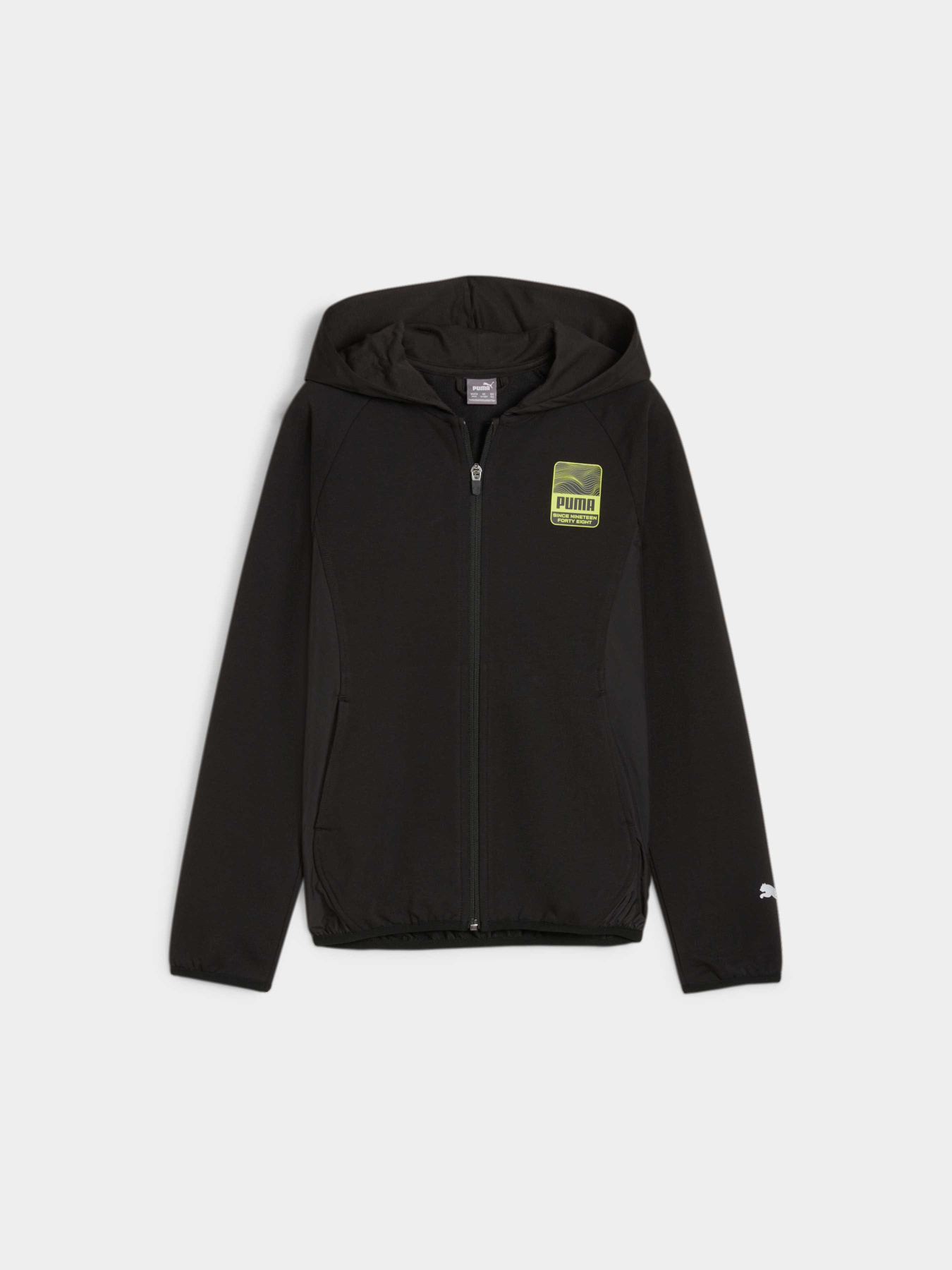 Спортивная кофта PUMA Active Sports Fullzip Hoodie модель 679210 Фото