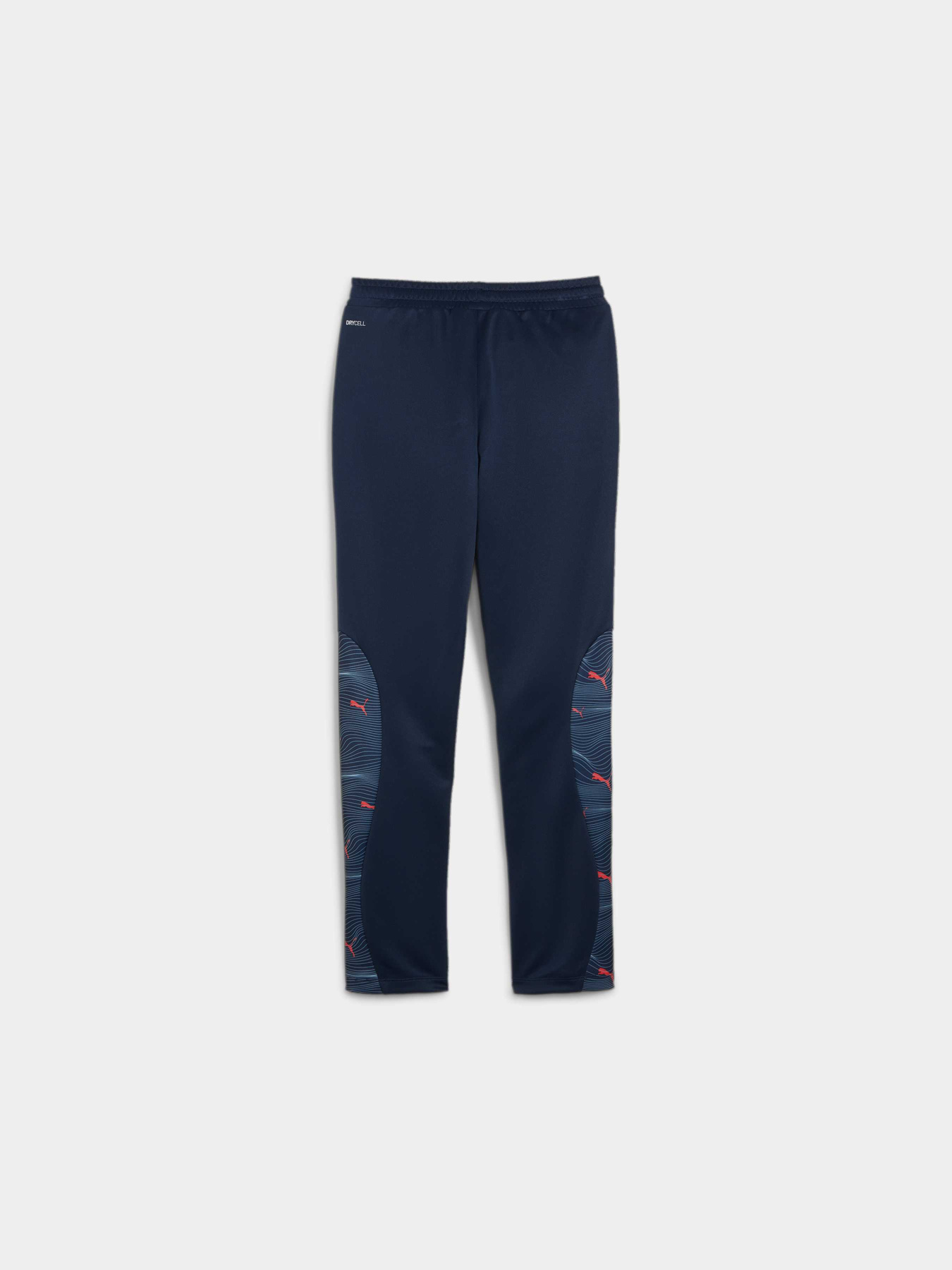 Штаны спортивные PUMA Active Sports Poly Pants модель 679217 Фото