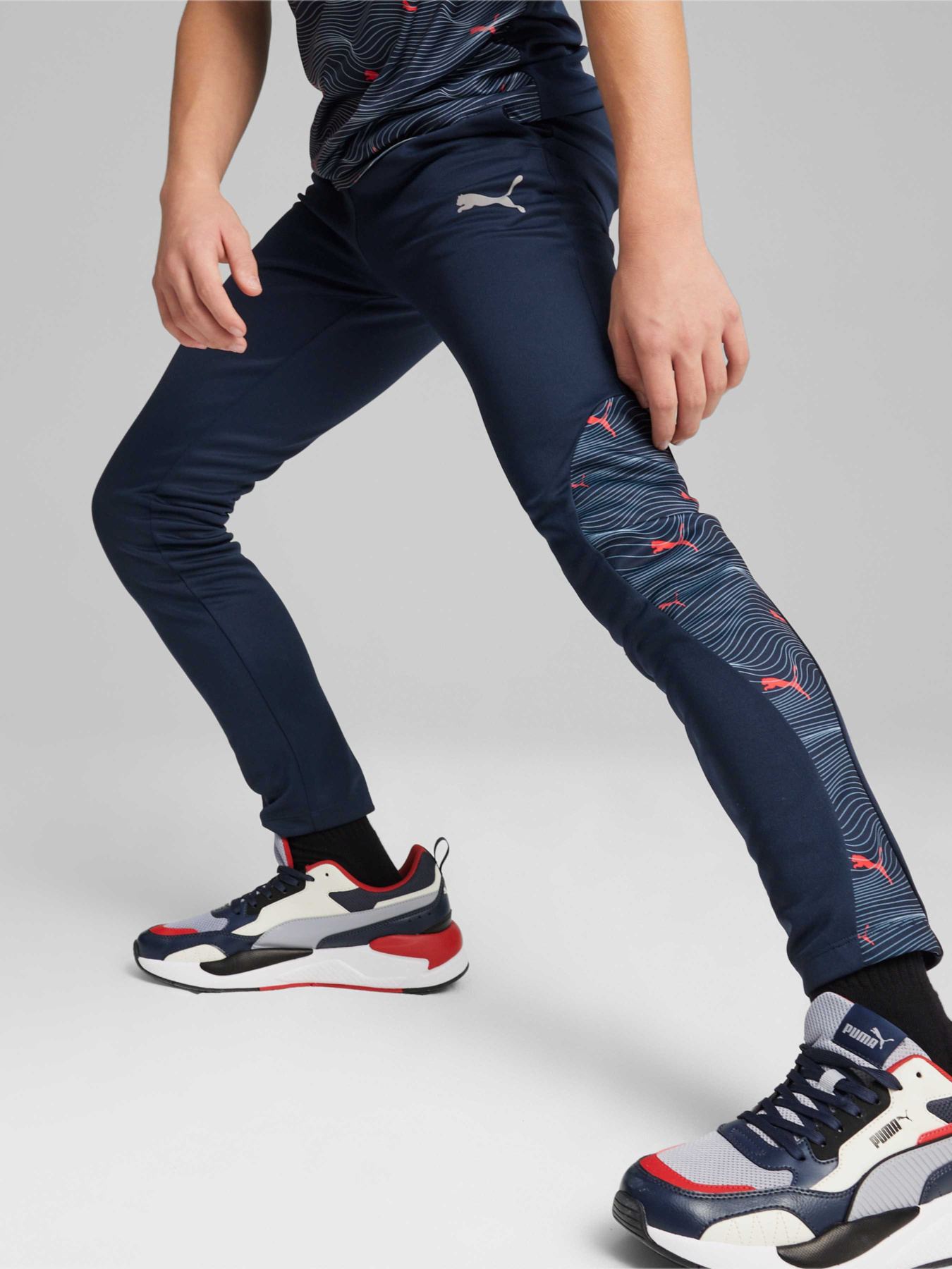 Штаны спортивные PUMA Active Sports Poly Pants модель 679217 Фото
