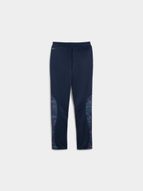 Спортивні штани PUMA Active Sports Poly Pants модель 679217 Фото